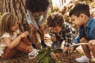 Waldkindergarten | Kinder untersuchen ein Blatt