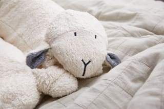 Schwangerschaft 17 SSW | Kuschelhase