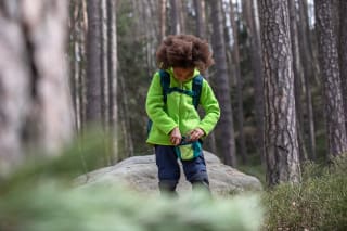 Waldspiele für Kinder | Image