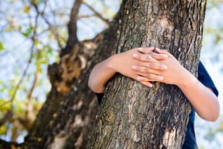 Waldspiele für Kinder | Image