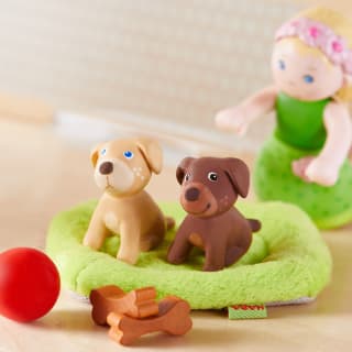 Ein spannender Tag in der Tierklinik der Little Friends | Hunde