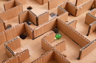 Kinderspiele selber machen | Labyrinth aus Pappe, indem Murmel entlang rollen
