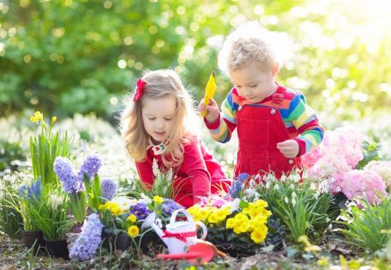 Gärntern mit Kindern | Blumenbeet