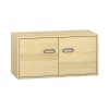 Pureo Doppeltürenschrank B100 x H50 x T42 cm