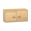 Pureo Hängeschrank mit Doppeltüren B100 x H50 x T42 cm