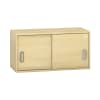 Pureo Hängeschrank mit Schiebetüren B100 x H50 x T42 cm