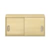 Pureo Hängeschrank mit Schiebetüren B100 x H50 x T42 cm