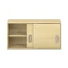 Pureo Hängeschrank mit Schiebetüren B100 x H50 x T42 cm
