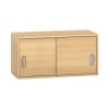 Pureo Hängeschrank mit Schiebetüren B100 x H50 x T42 cm