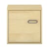 Pureo Schrank mit Tür, links B50 x H50 x T42 cm