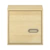 Pureo Hängeschrank mit Tür, links B50 x H50 x T42 cm