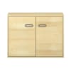 Pureo Doppeltürenschrank B100 x H75 x T42 cm