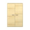 Pureo Gymnastikschrank B100 x H150 x T60 cm
