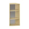 Pureo Regalschrank 30°, offen B49,9 x H100 x T42,7 cm