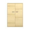 Pureo Doppeltürenschrank B100 x H150 x T42 cm
