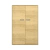 Pureo Doppeltürenschrank B100 x H150 x T42 cm