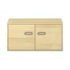 Pureo Doppeltürenschrank B100 x H50 x T60 cm
