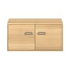 Pureo Doppeltürenschrank B100 x H50 x T60 cm