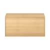 Pureo Doppeltürenschrank B100 x H50 x T60 cm