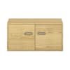 Pureo Doppeltürenschrank B100 x H50 x T60 cm