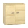 Pureo Doppeltürenschrank B100 x H100 x T60 cm