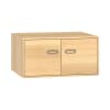 Schrank Doppeltüren 100/50/80 F