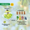 Obstgarten