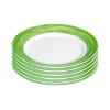 ARCOROC Brush green Teller flach, Ø 25,4 cm, 6 Stück