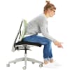 Drehstuhl Flexo-Sit, Sitzh. 38 - 50 cm