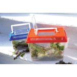 Insektenbox, geräumig  mit Luftrillen, Tragegriff, 2 Stück