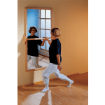 Wandplatte Spiegel, rechteckig, H 80 x B 160 cm
