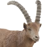Schleich® Waldtiere-Set, 8-teilig
