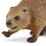 Schleich® Waldtiere-Set, 8-teilig