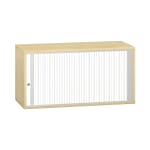 Pureo Portfolioschrank B100 x H50 x T42 cm
