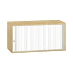Pureo Portfolioschrank B100 x H50 x T42 cm