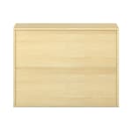 Pureo Portfolioschrank B100 x H75 x T42 cm