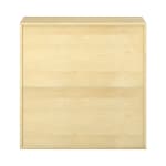 Pureo Doppeltürenschrank mit Rollböden B100 x H100 x T60 cm