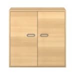 Pureo Doppeltürenschrank mit Rollböden B100 x H100 x T60 cm