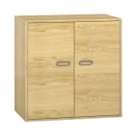 Pureo Doppeltürenschrank mit Rollböden B100 x H100 x T60 cm