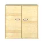 Schrank Doppeltüren 100/100/80cm