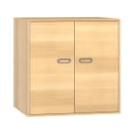 Schrank Doppeltüren 100/100/80cm