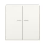 Schrank Doppeltüren 100/100/80cm, Dekor