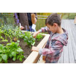 Hochbeet für den Kindergarten, schmal
