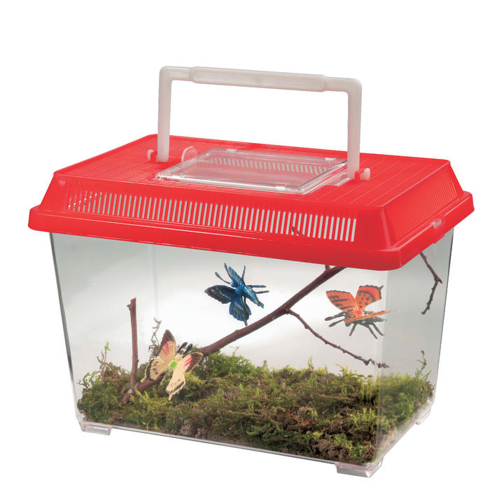 Insektenbox, geräumig  mit Luftrillen, Tragegriff, 2 Stück