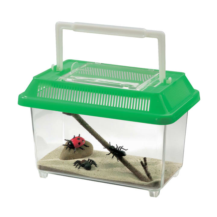 Insektenbox, geräumig  mit Luftrillen, Tragegriff, 2 Stück