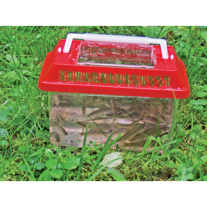 Insektenbox, geräumig  mit Luftrillen, Tragegriff, 2 Stück