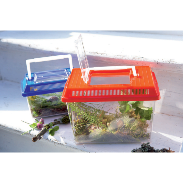 Insektenbox, geräumig  mit Luftrillen, Tragegriff, 2 Stück