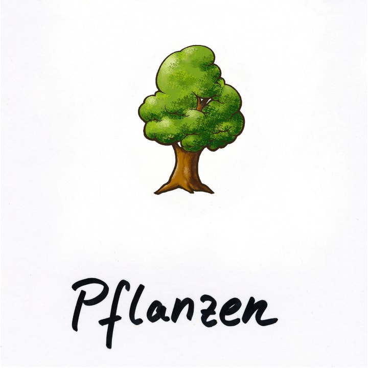 Blanko-Einsteckkarten, 20 Stück