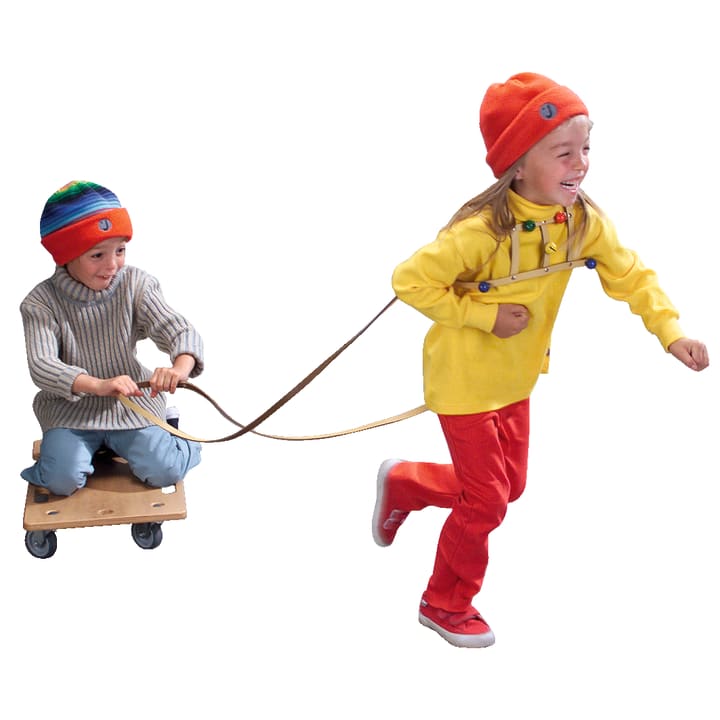 Rollbrett, 2 Stück