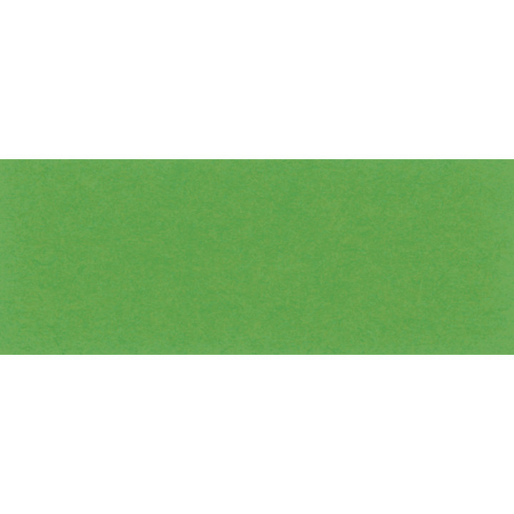 Tonpapier, grasgrün, 130g/m², 50 x 70 cm, 25 Bogen